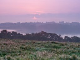 IMGP8544-Morgen-over-Hald-Soe